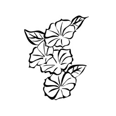 black and white flower