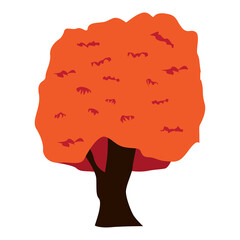 autumn tree element illustration transparent background