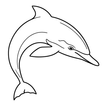 recommend clip art: Clean vector outline of a dolphin icon for versatile applications.