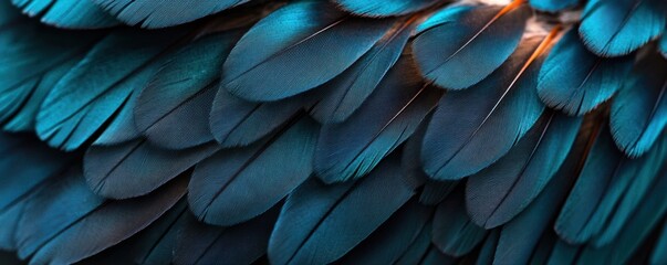 Fototapeta premium A close-up view of a bird’s feathers reveals individual barbs and subtle color gradients