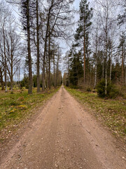 Obraz premium Schweden, Sweden, Sunset, Wald, Forest, Bäume, Trees, Landschaften, Landscapes, See, Lake, einsam, Urlaub, wunderschön, Drohnen, Droneshots, River, Fluss, wild, Natur, abgelegen, Inseln, Island,