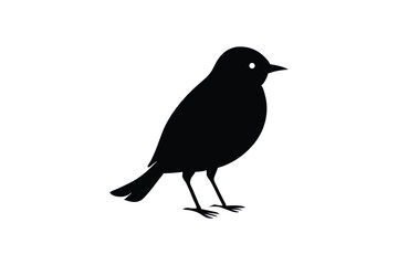 Cute Robin Bird  vector art and illustration