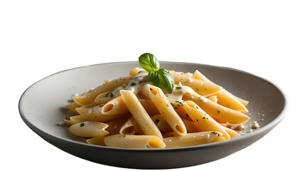 Fettuccine Alfredo in white plate, Pasta with pesto, Penne pasta with white sauce, italian food PNG. Cutout.