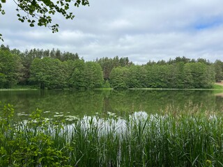 green view bear lake in lithuania