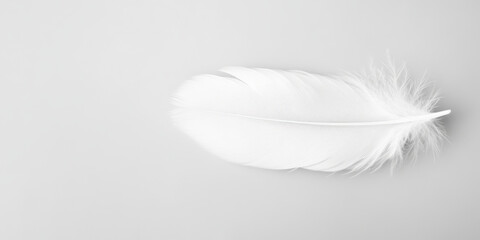 Obraz premium A single white feather on a light grey background. The feather's delicate structure is clearly visible, creating a minimalist and serene composition. Generative AI