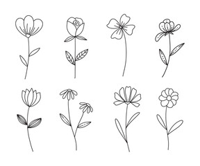 Collection of floral and botanical elements. Set of leaf, foliage flowers, plants, bloom, leaves and herb. Hand drawn of blossom spring season vectors for decor, website