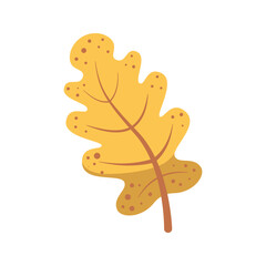 Yellow autumn oak tree leaf symbolizing fall season. Flat vector illustration isolated on white background  