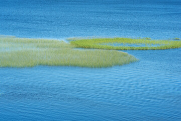 natural waterscape, shallow bay with reed beds