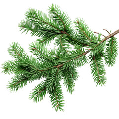 Green pine tree branch isolated on transparent background, natural conifer close-up, Ai Generation
