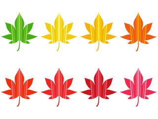 ストライプ柄の紅葉