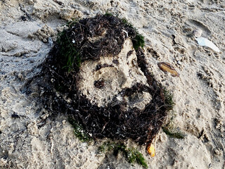 art of beard on sand