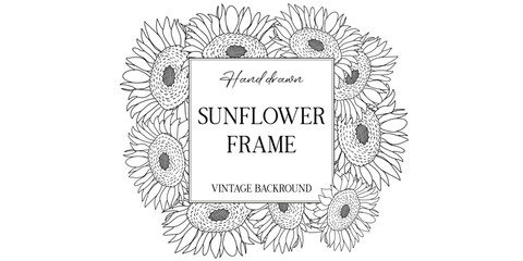Hand drawn botanical frame with sunflowers. Vector illustration in sketch style isolated on white. Realistic sunflower design element. Space for text 