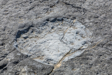 Real dinosaur footprint close-up imprinted in the rock, Ourém Portugal