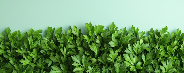 Obraz premium Vibrant green leaves create a lush and refreshing backdrop, perfect for nature-themed designs or eco-friendly projects.