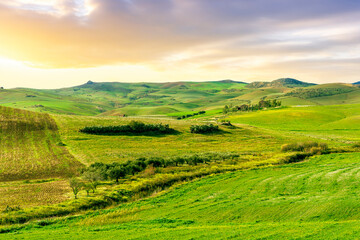 Obraz premium Beautiful landscape of green spring season field with salad grass, farm with garden and sunset or sunrise scenic sky