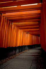 Fototapeta premium Fushimi Inari in Tokyo
