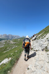 hiker with backpack and hat  walking on trail on dolomites mountains in italian alps