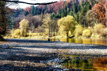 Image of an autumnal scene with bright colors and a river, forest and blue sky with clouds