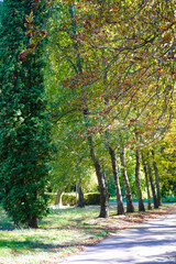 A simple walk in the city