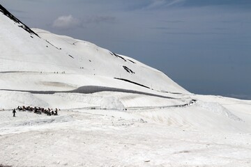 Tateyama snow wall walk path