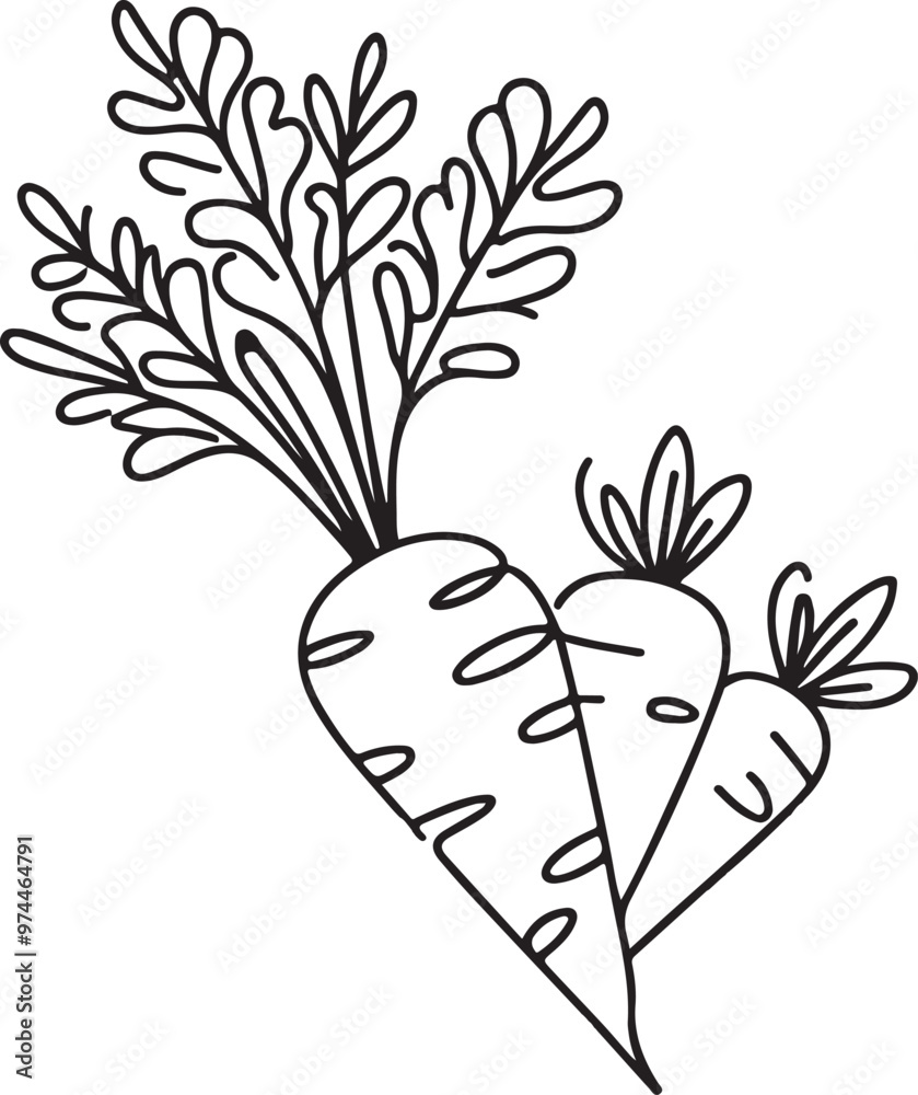 Wall mural sketch of a radish vegetable