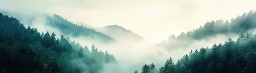 Fototapeta premium A serene landscape of a foggy forest with lush green trees, perfect for backgrounds, nature themes, and meditation visuals,
