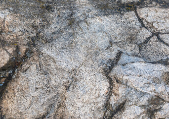 Textured Stone Surface Natural Patterns Detailed Rock Formation