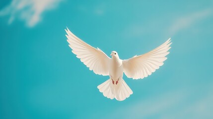 Fototapeta premium A white dove soaring gracefully under a clear blue sky with fluffy clouds on a sunny day