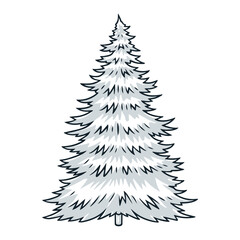 Obraz premium Coniferous tree vintage sticker monochrome