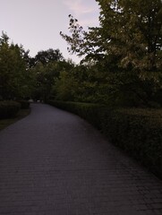 road in the park
