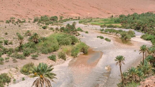 Ziz Valley In Morocco: One Of The Largest Oases In The World. The valley is crossed by the river with the same name (River Ziz Ghriss or Oued Ziz Ghriss)