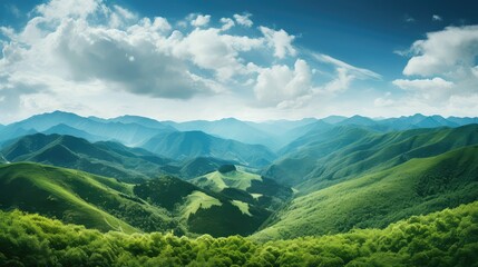 Fototapeta premium forest green mountains