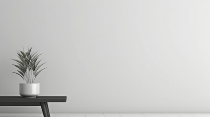 sleek black and white potted plant