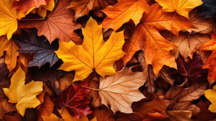 Fototapeta premium nature leaves background