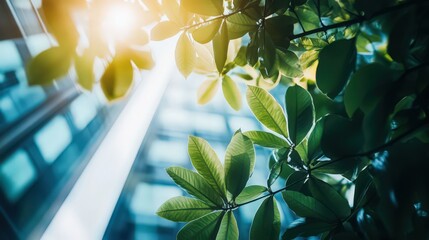 adopting ESG guidelines, an organization advances its commitment to sustainable development, addressing environmental and social concerns