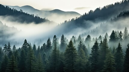 Obraz premium nature mountain and trees