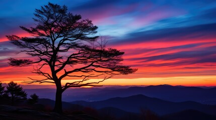 Fototapeta premium vibrant blue ridge mountain sunset