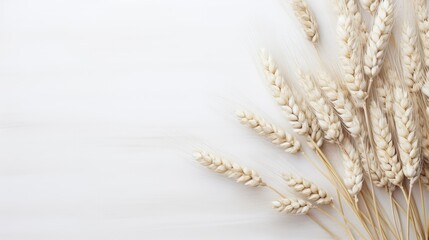 subtle white grain background