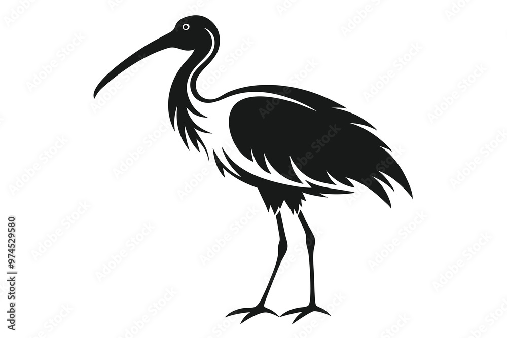 Wall mural silhouette vector illustration Ibis F.eps