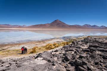 volcanic landscape in the bolivian altiplano