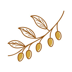 Olive Branch with Olive, Green Icon