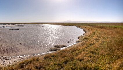 desert landscape of the highlands of Chile