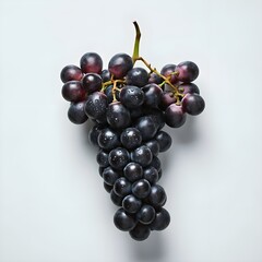 Fototapeta premium A plump bunch of black grapes isolated on a white background.