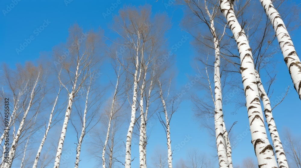 Wall mural blue cute trees