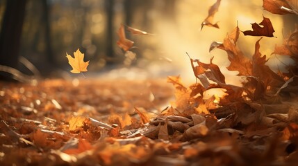 autumn rotting leaves