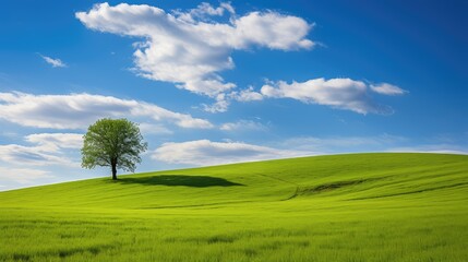 Obraz premium outdoors blue sky green grass