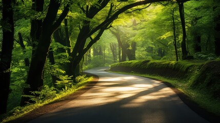 Naklejka premium lush bright road