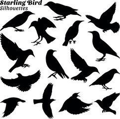 Starling bird silhouettes vector illustration set