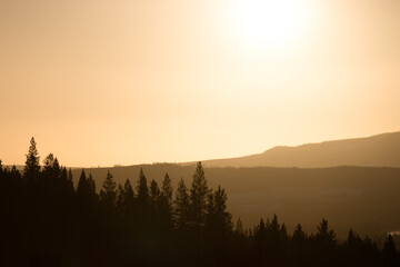 The low winter sun creates a soft backlight over a wooded mountainside in the Swedish mountains.