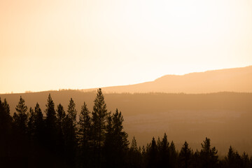 The low winter sun creates a soft backlight over a wooded mountainside in the Swedish mountains.